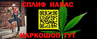крисы Гагарин