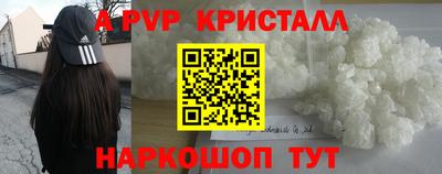 крисы Гагарин