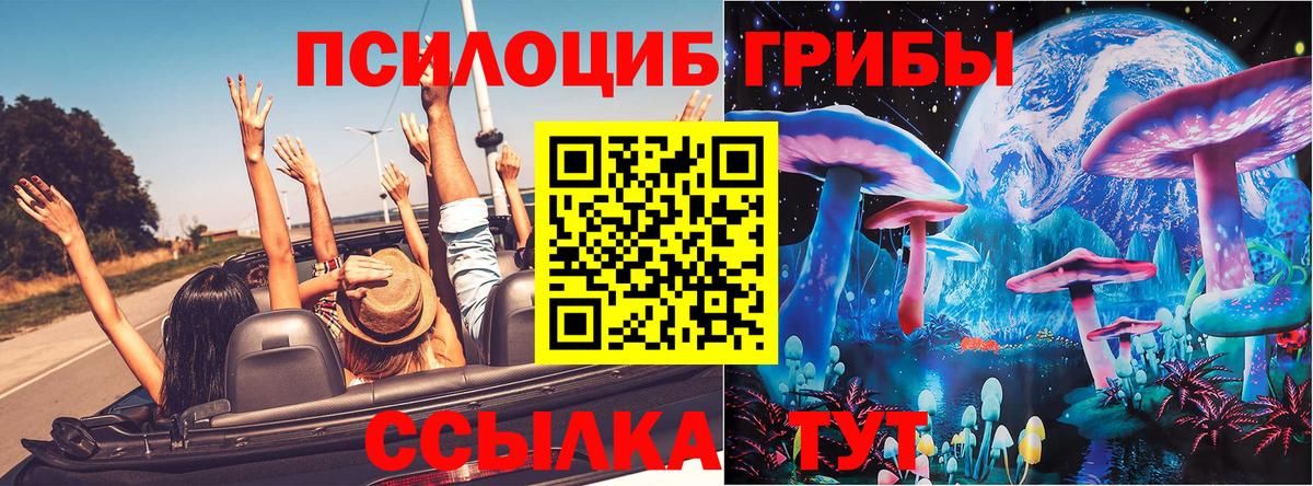 Галлюциногенные грибы мухоморы Чистополь